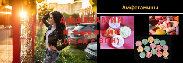 прущие грибы Балабаново
