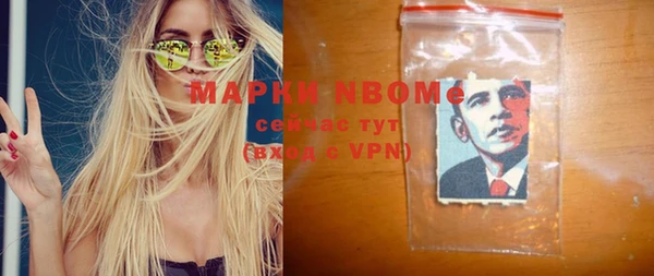 прущие грибы Балабаново