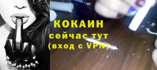 прущие грибы Балабаново