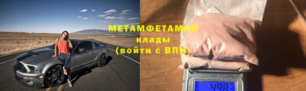 прущие грибы Балабаново