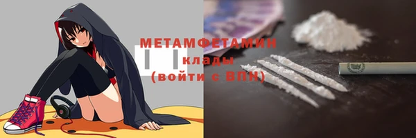 прущие грибы Балабаново