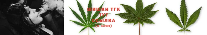 прущие грибы Балабаново