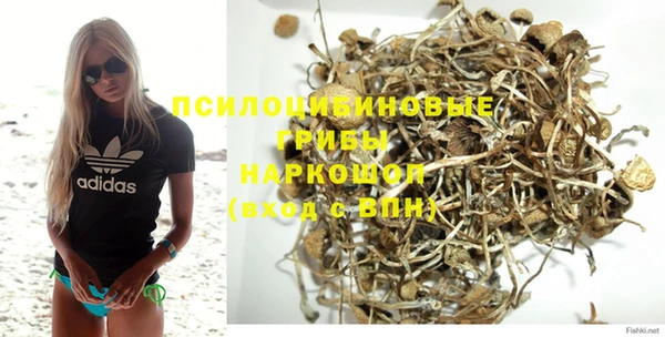 a pvp Баксан
