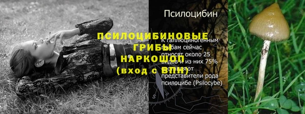 прущие грибы Балабаново