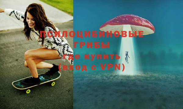 прущие грибы Балабаново
