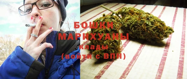 прущие грибы Балабаново