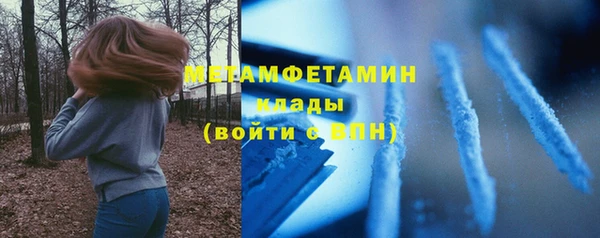 прущие грибы Балабаново