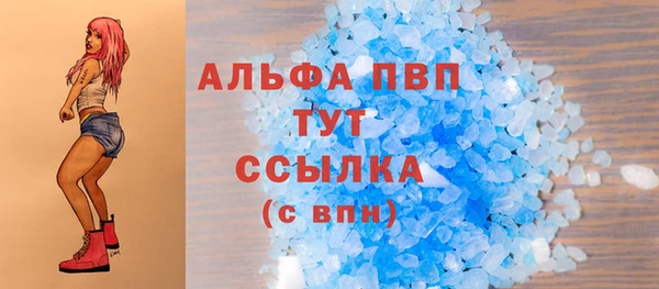 прущие грибы Балабаново