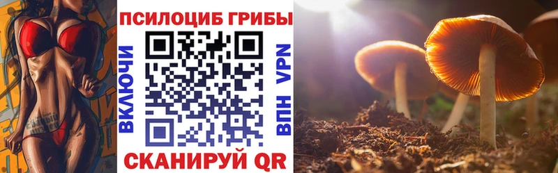 Псилоцибиновые грибы мухоморы  Кропоткин 